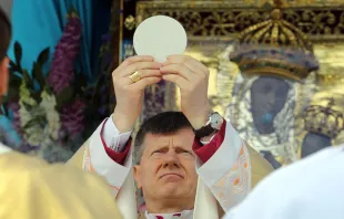Archbishop Ante Jozić celebrates Mass before the icon of Our Lady of Budslau in Belarus, July 3, 2021. Vitaliy Palinevsky/Catholic.by.